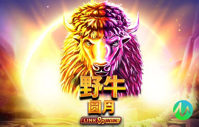 雷泽体育平台app
